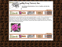 Tablet Screenshot of bigfrognursery.com
